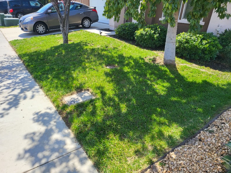 Lawn mowing work by Trouble Less  in Hesperia, CA