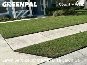 Lawn Care nearby Wesley Chapel, FL, 