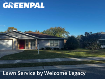 Grass Cutting nearby Gainesville, FL, 