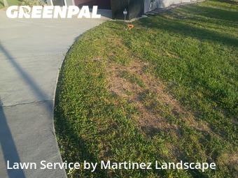Yard Cutting nearby Tavares, FL, 