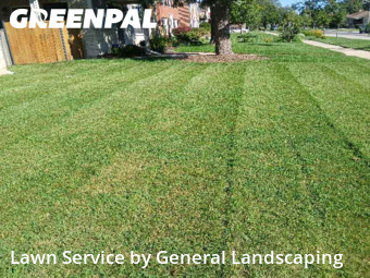 Lawn Maintenance nearby Chicago, IL, 