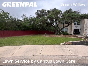 Lawn Cut nearby San Antonio, TX, 