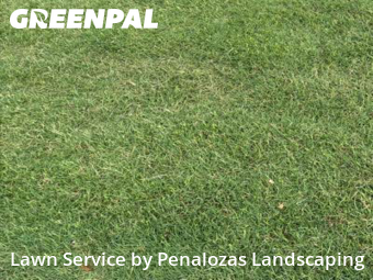 Grass Cut nearby Suwanee, GA, 