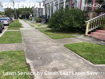 Grass Cut nearby New Orleans, LA, 
