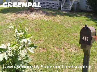Lawn Care nearby Atlanta, GA, 