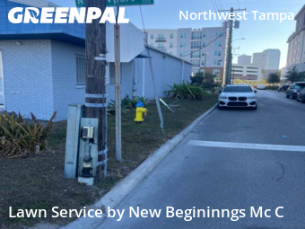 Yard Cutting nearby Tampa, FL, 