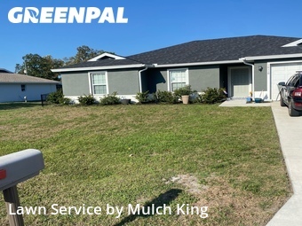 Lawn mowed in Punta Gorda, 33955