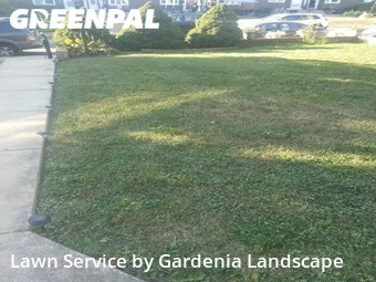 Lawn Care nearby Glenolden, PA, 