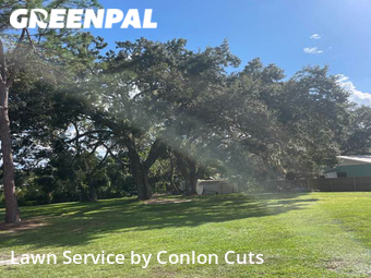 Yard Mowing nearby Bradenton, FL, 