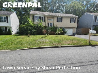 Yard Work in Cranston, 2920, Yard Care Services by Shear Perfection, work completed in Nov , 2025