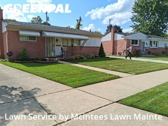 Lawn Mow nearby Southgate, MI, 