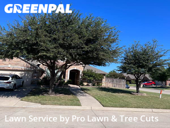 Grass Cut nearby Fort Worth, TX, 