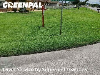 Yard Mowing nearby Spring Hill, FL, 