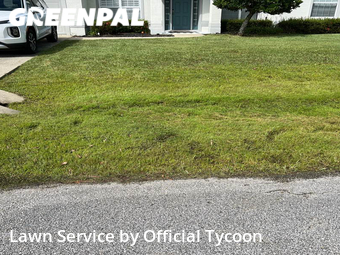 Lawn Cut nearby Palm Coast, FL, 