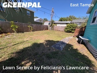 Grass Cut nearby Tampa, FL, 