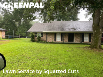 Lawn Mow nearby Lafayette, LA, 