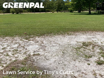 Lawn Service nearby Valdosta, GA, 