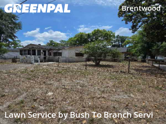 Lawn Maintenance nearby Jacksonville, FL, 