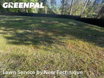 Grass Cut nearby Lake Mary, FL, 