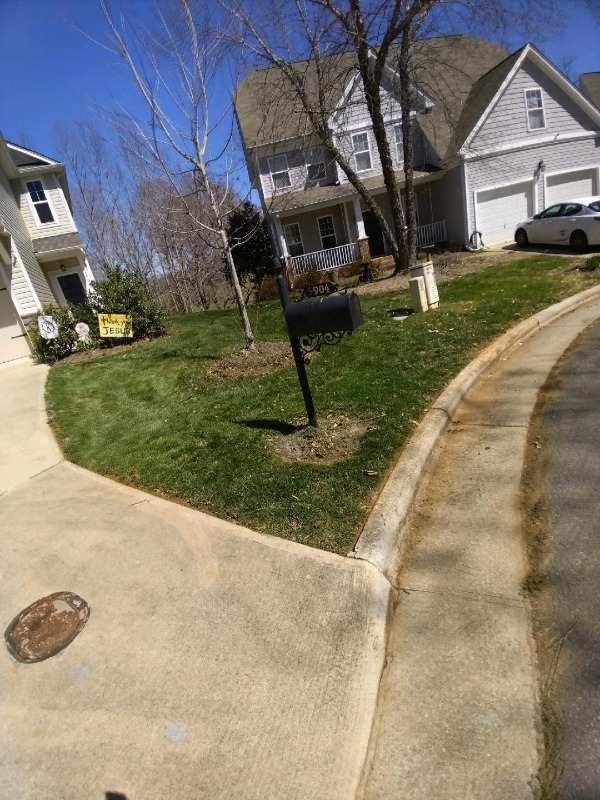 Good Earth Lawn Lawn Care Services in Reidsville, NC