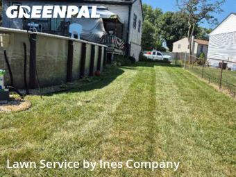 Yard Mowingin Orland Park,60462,Lawn Service by Ines Company, work completed in Nov , 2025