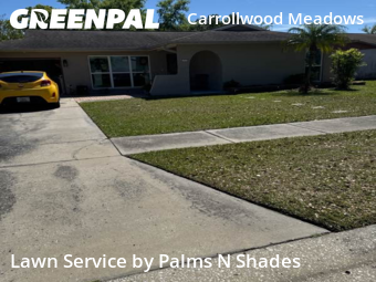 Lawn Cutting nearby Tampa, FL, 