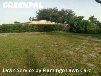 Grass Cutting nearby Fort Myers, FL, 