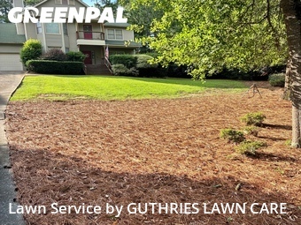 Grass Cut nearby Macon, GA, 