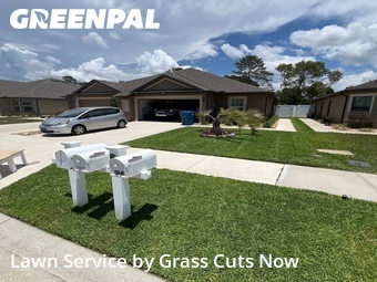 Lawn Service nearby Brooksville, FL, 
