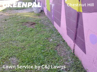 Yard Cutting nearby Nashville, TN, 