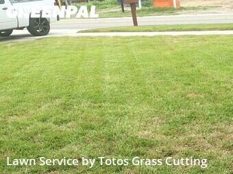 Lawn Mowing nearby Orlando, FL, 
