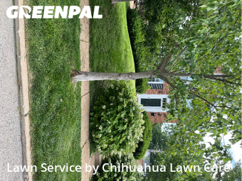Lawn Maintenancein Brentwood,63144,Yard Mowing by Chihuahua Lawn Care , work completed in Jun , 2026