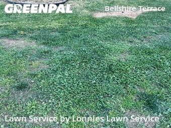 Yard Cutting nearby Nashville, TN, 