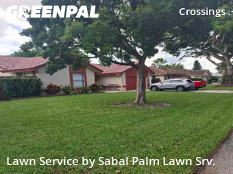 Backyard Mowing in Coral Springs, 33065, Lawn Management by Sabal Palm Lawn Srv., work completed in Nov , 2025