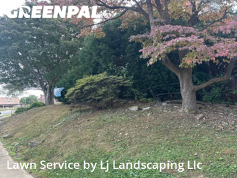Grass Cut nearby Drexel Hill, DE, 