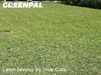 Yard Cutting nearby Midwest City, OK, 