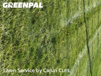 Lawn Mowingin Murfreesboro,37130,Lawn Cut by Cajun Cuts, work completed in Jun , 2026