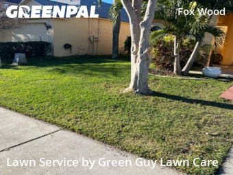 Lawn Care nearby Trinity, FL, 
