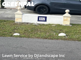 Grass Cut nearby Boynton Beach, FL, 