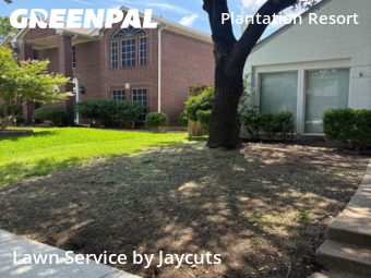Lawn Maintenance nearby Frisco, TX, 