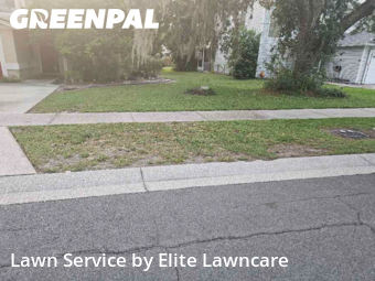 Lawn Mow nearby Tampa, FL, 