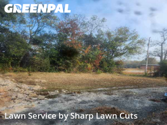 Yard Mowing in Macon, 31206, Backyard Mowing by Sharp Lawn Cuts, work completed in Dec , 2025