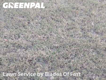 Work completed by lawn-mowing-quotes-in-Union City-CA