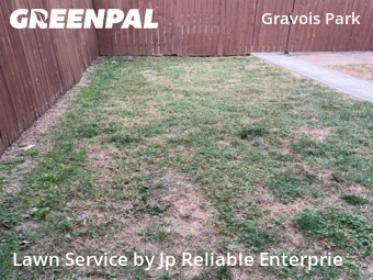 Grass Cut nearby St. Louis, IL, 