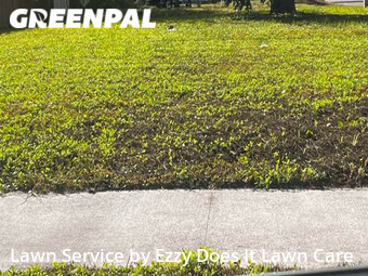 Grass Cutting nearby Jacksonville, FL, 