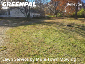 Lawn Mow nearby Nashville, TN, 