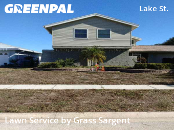 Lawn Maintenancein Palm Harbor,34684,Lawn Mow by Grass Sargent, work completed in Feb , 2026