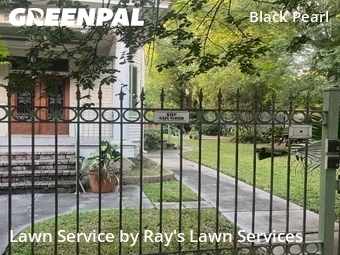 Yard Mowing nearby New Orleans, LA, 