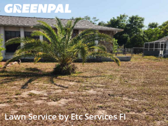 Lawn Management in Bayonet Point, 34668, Lawn Mowing by Etc Services Fl, work completed in Nov , 2025