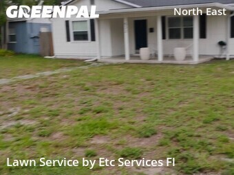 Yard Cutting nearby St. Petersburg, FL, 